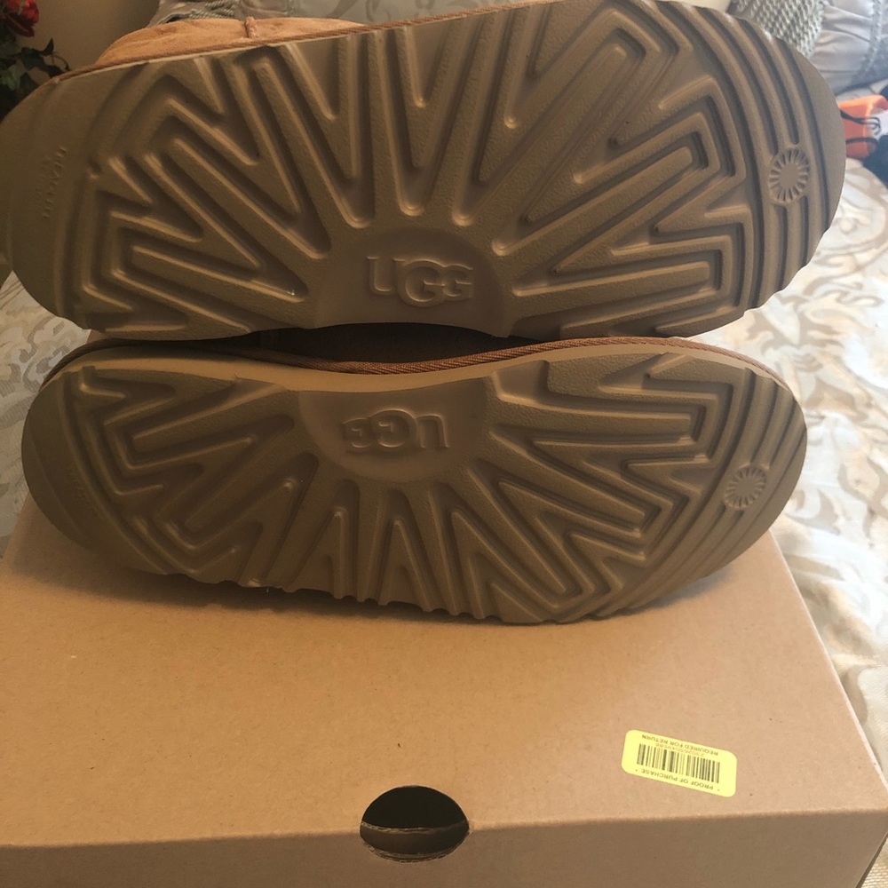 Brand new Uggs never worn